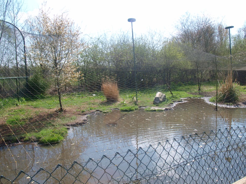 Stork, crane and ibis aviary (April 19th, 2015)
