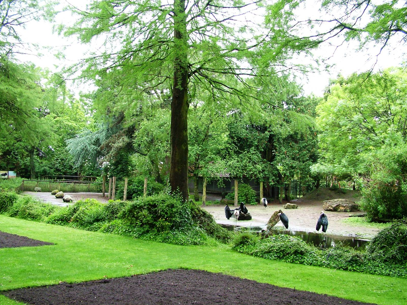 Stork/Crane Exhibit at Avifauna, 04/06/12