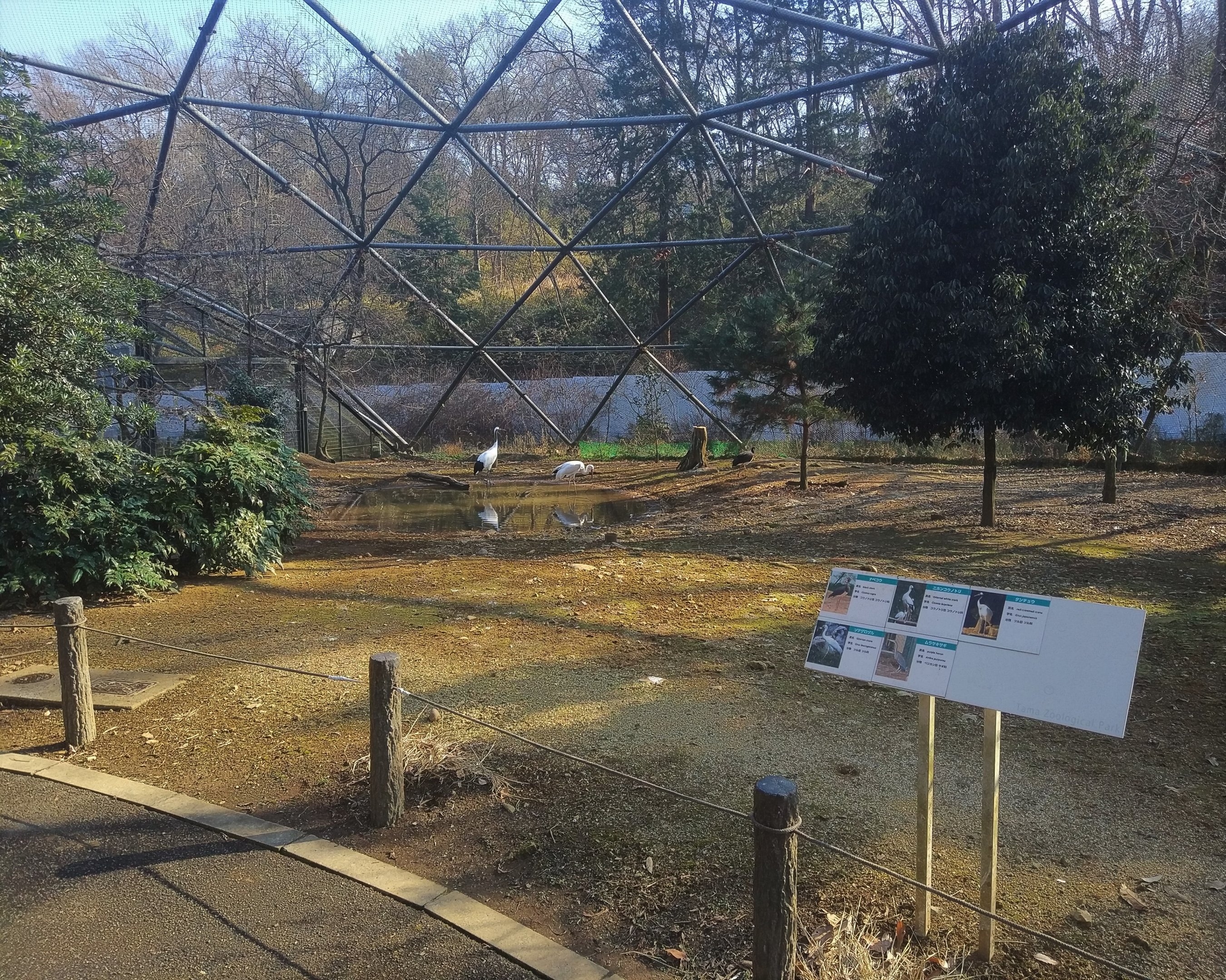 Stork, Crane & Heron Aviary