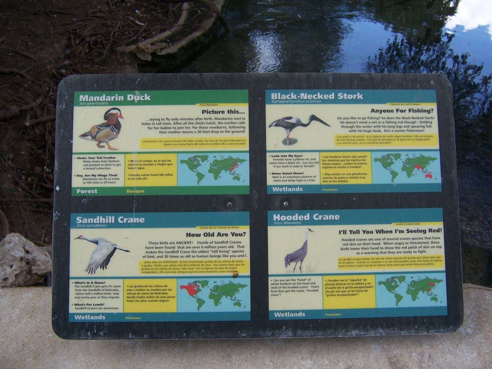 Stork/Crane Sign