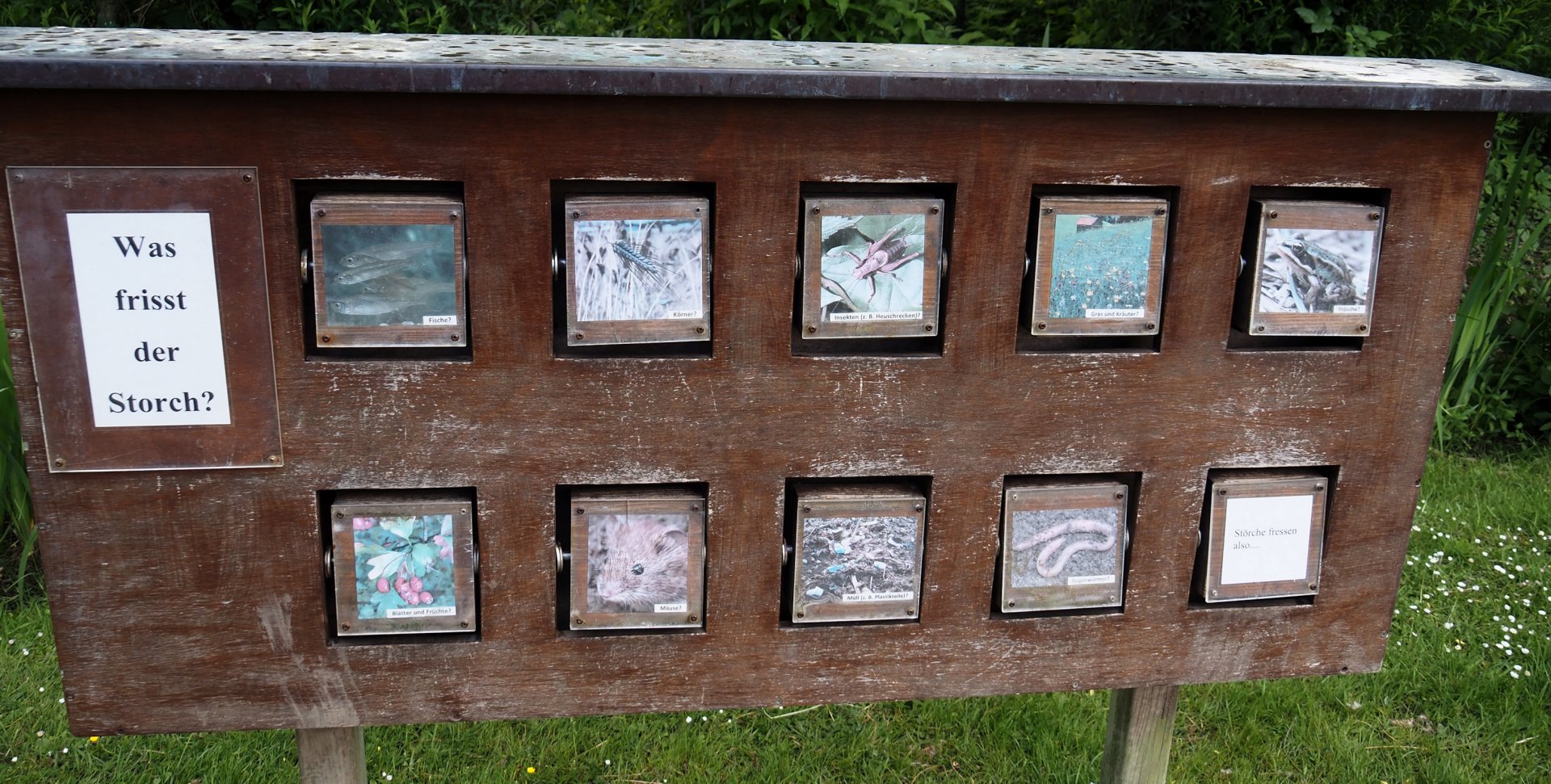 Stork diet signage, 2025-05-22