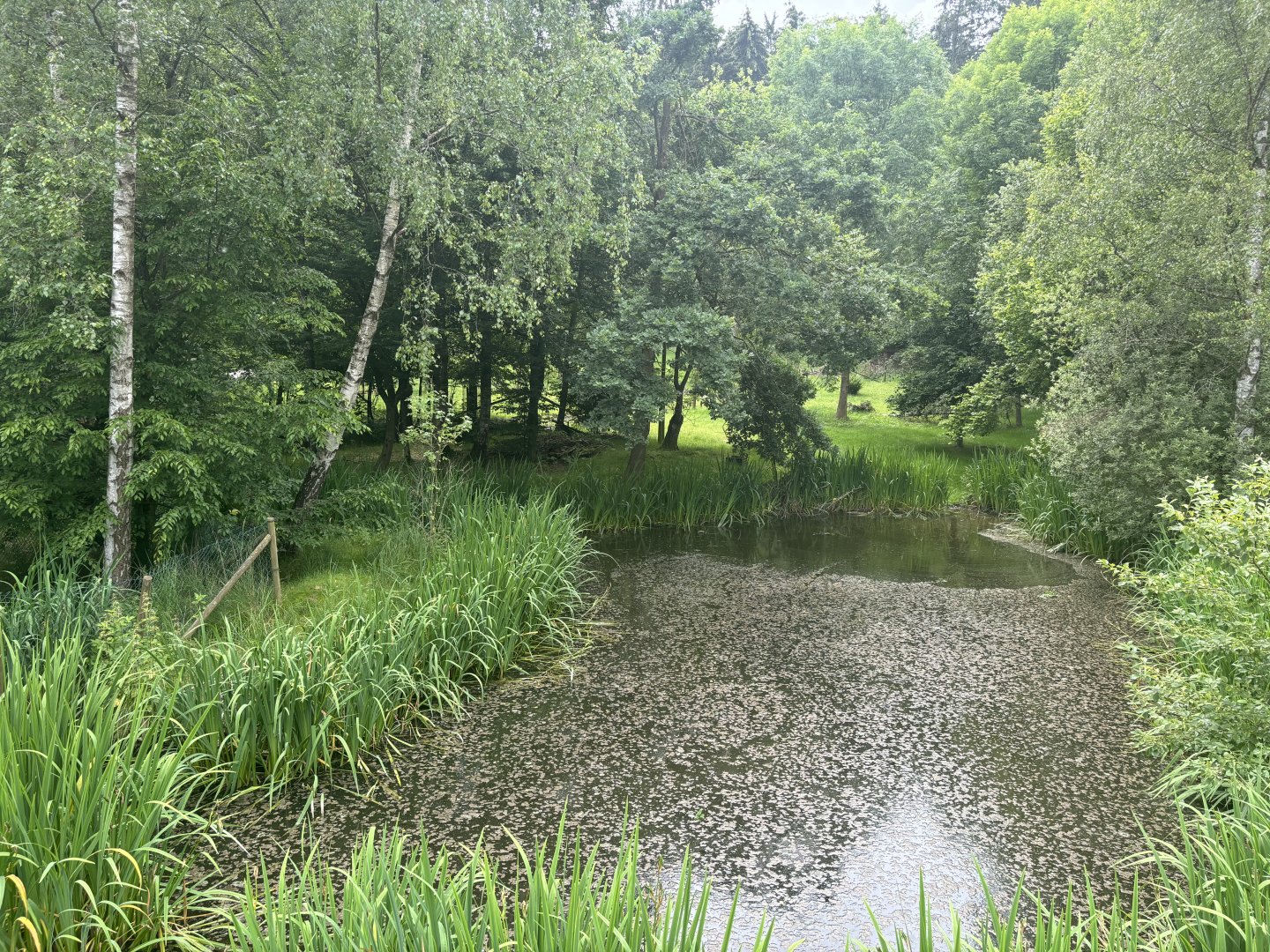 Stork Enclosure at Wildpark Poing