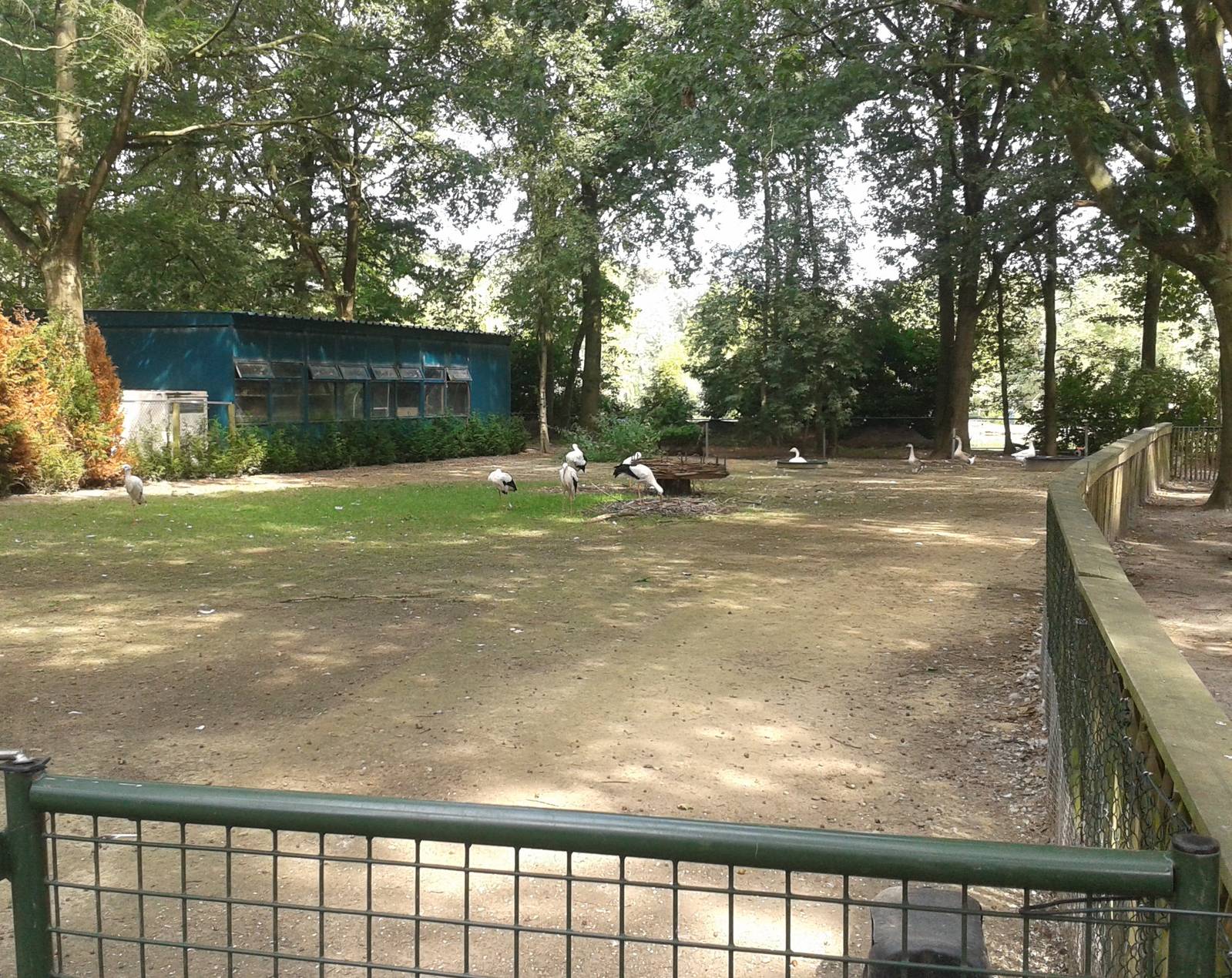 Stork enclosure