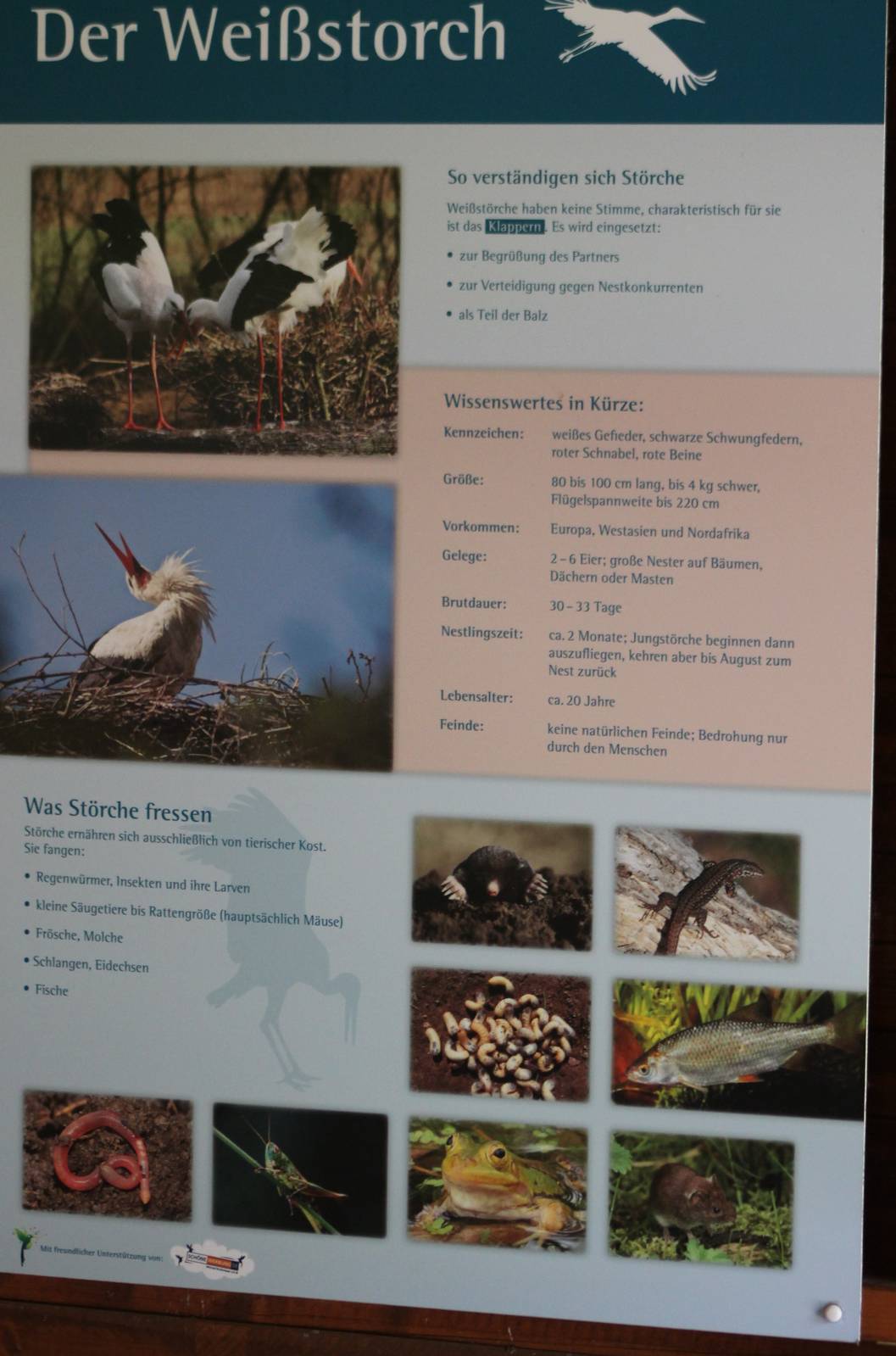 Stork info-sign