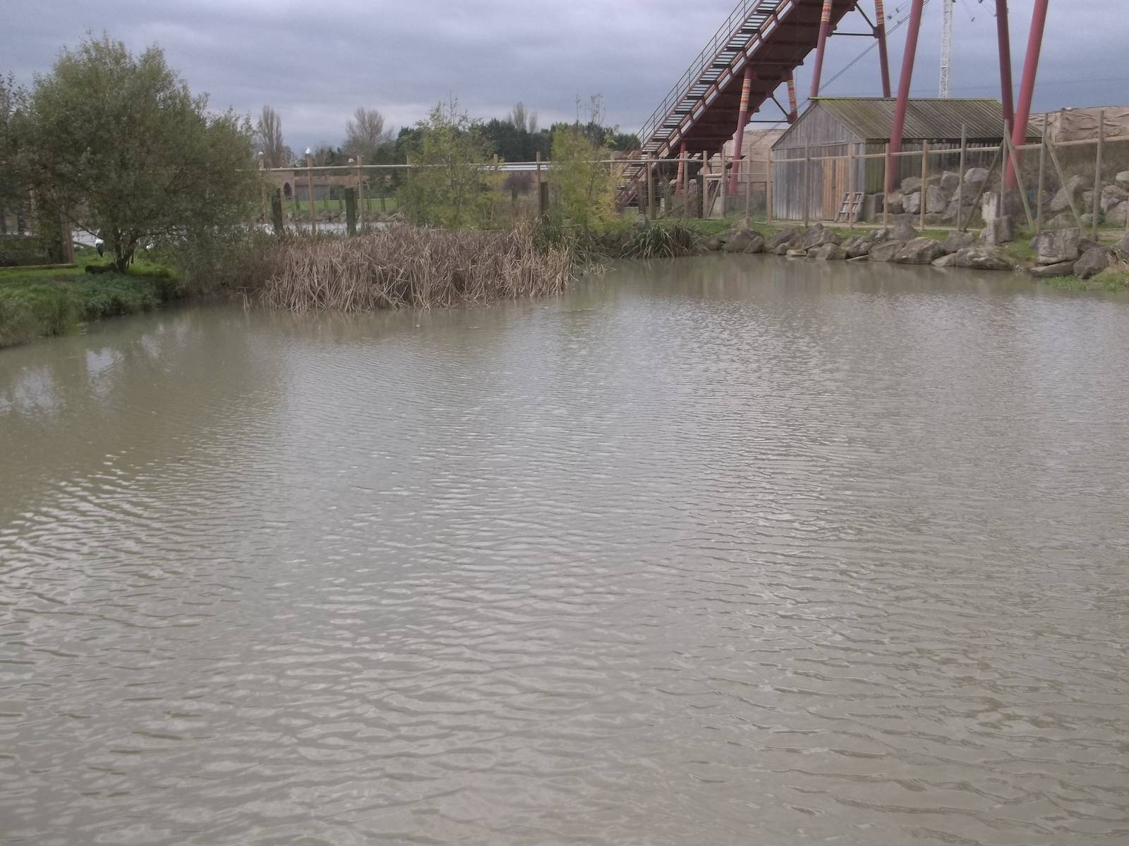 Stork lake showing milky water, 27th October 2014