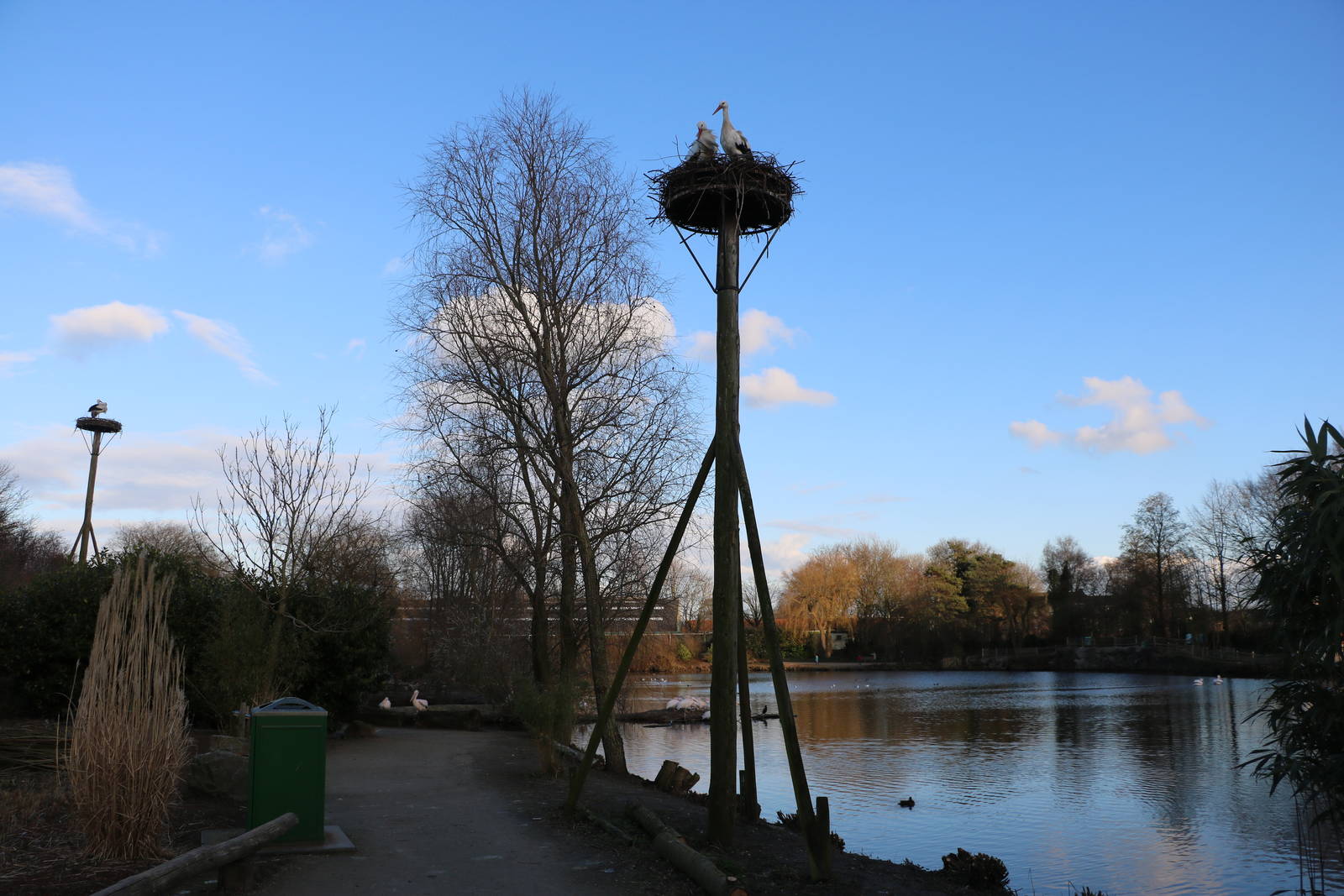 Stork nest & lake, February 2016