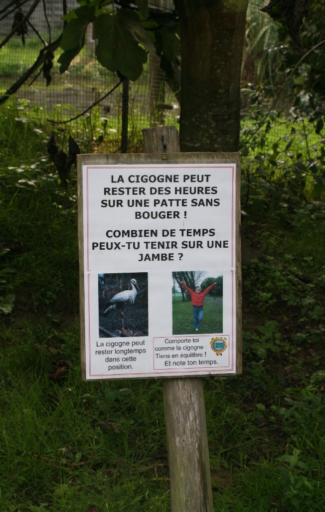 Stork Signage