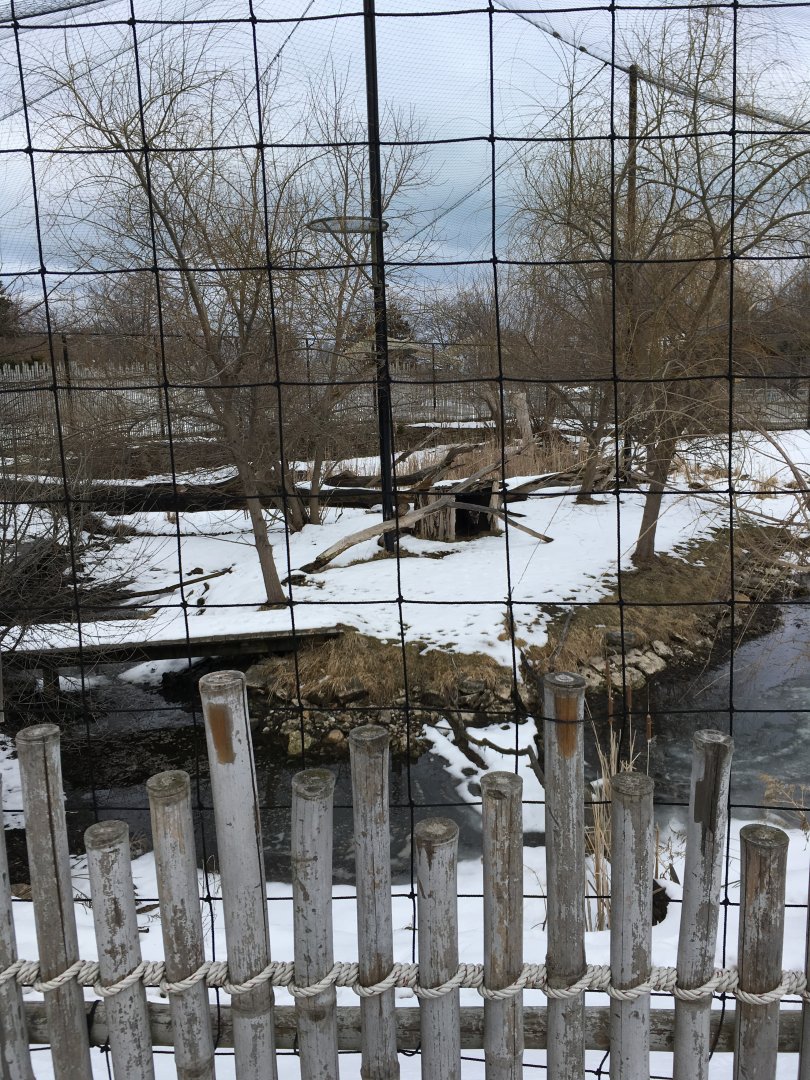 Stork/Western Tufted Deer Aviary