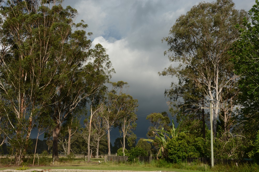 Storm coming.  NSW