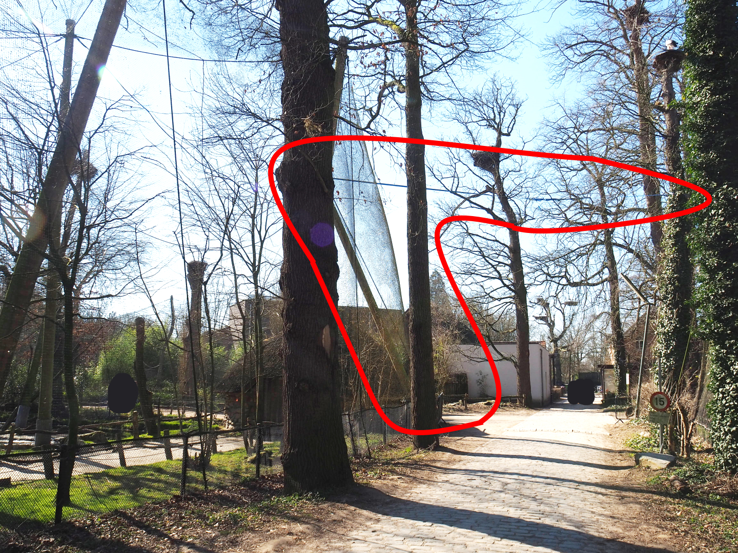 Storm damage to African waterfront aviary? - 2022-03-08