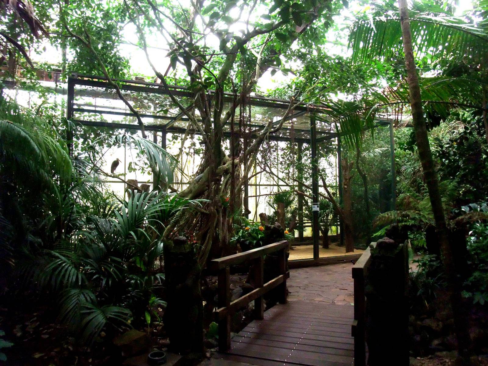 Storm's Stork Aviary at Walsrode, 22/03/13