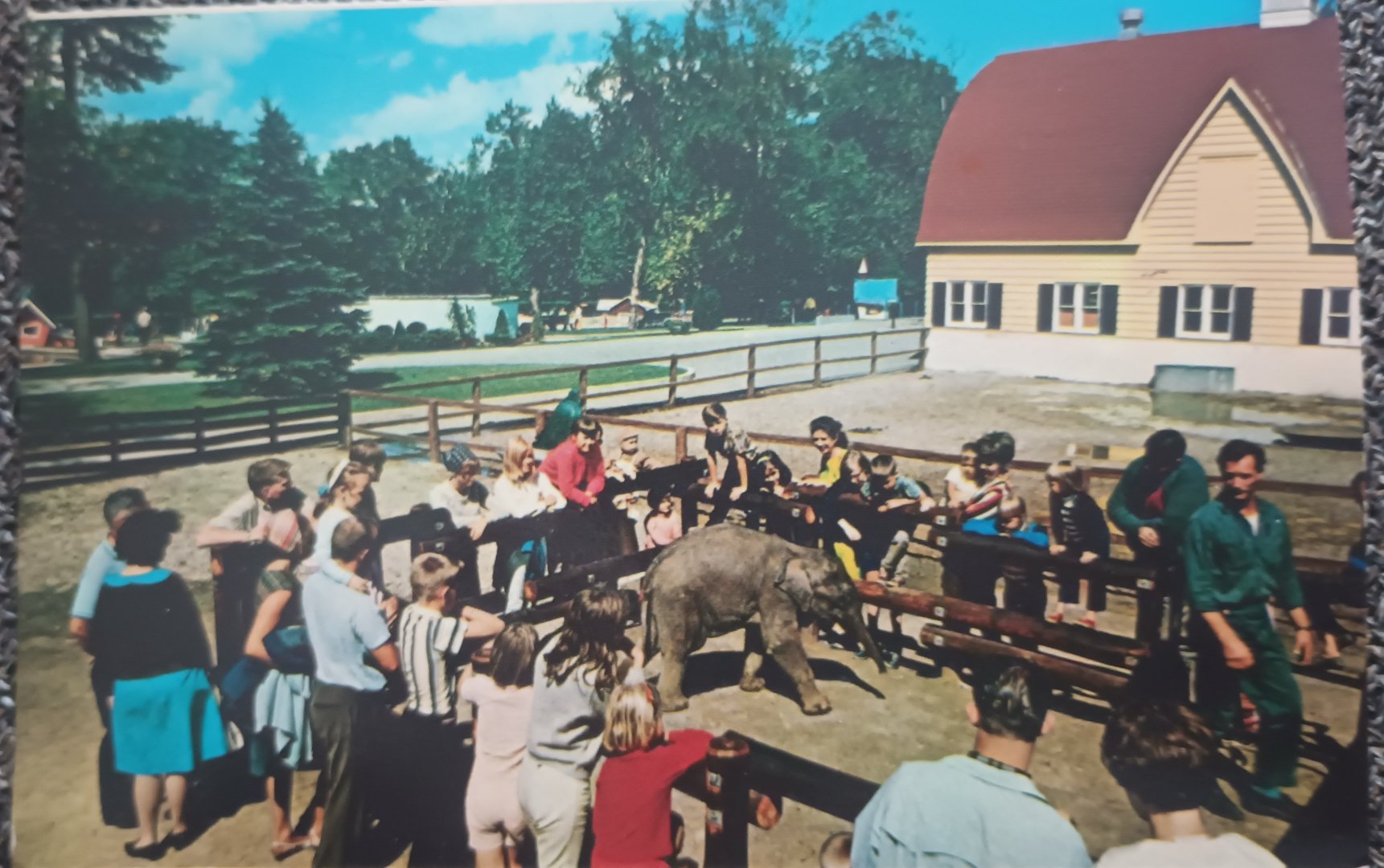 Story Book Gardens Baby Elephant Postcard