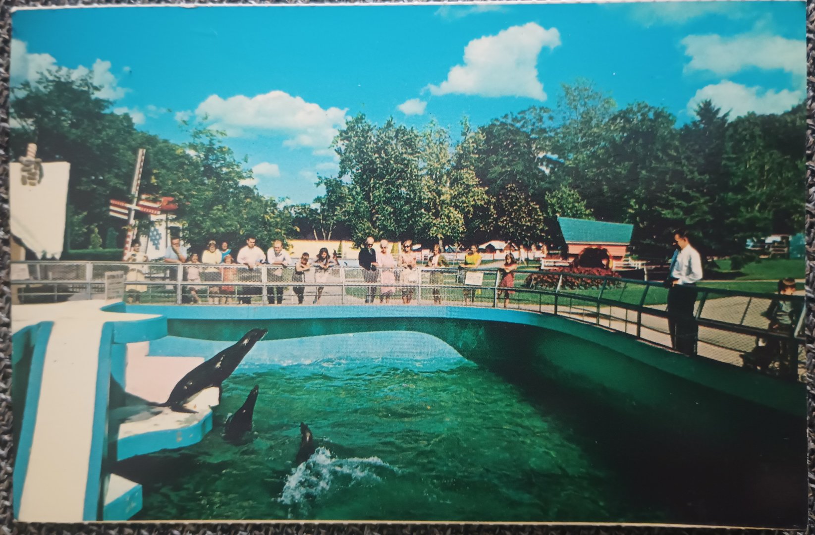 Story Book Gardens Sea Lion Pool Postcard