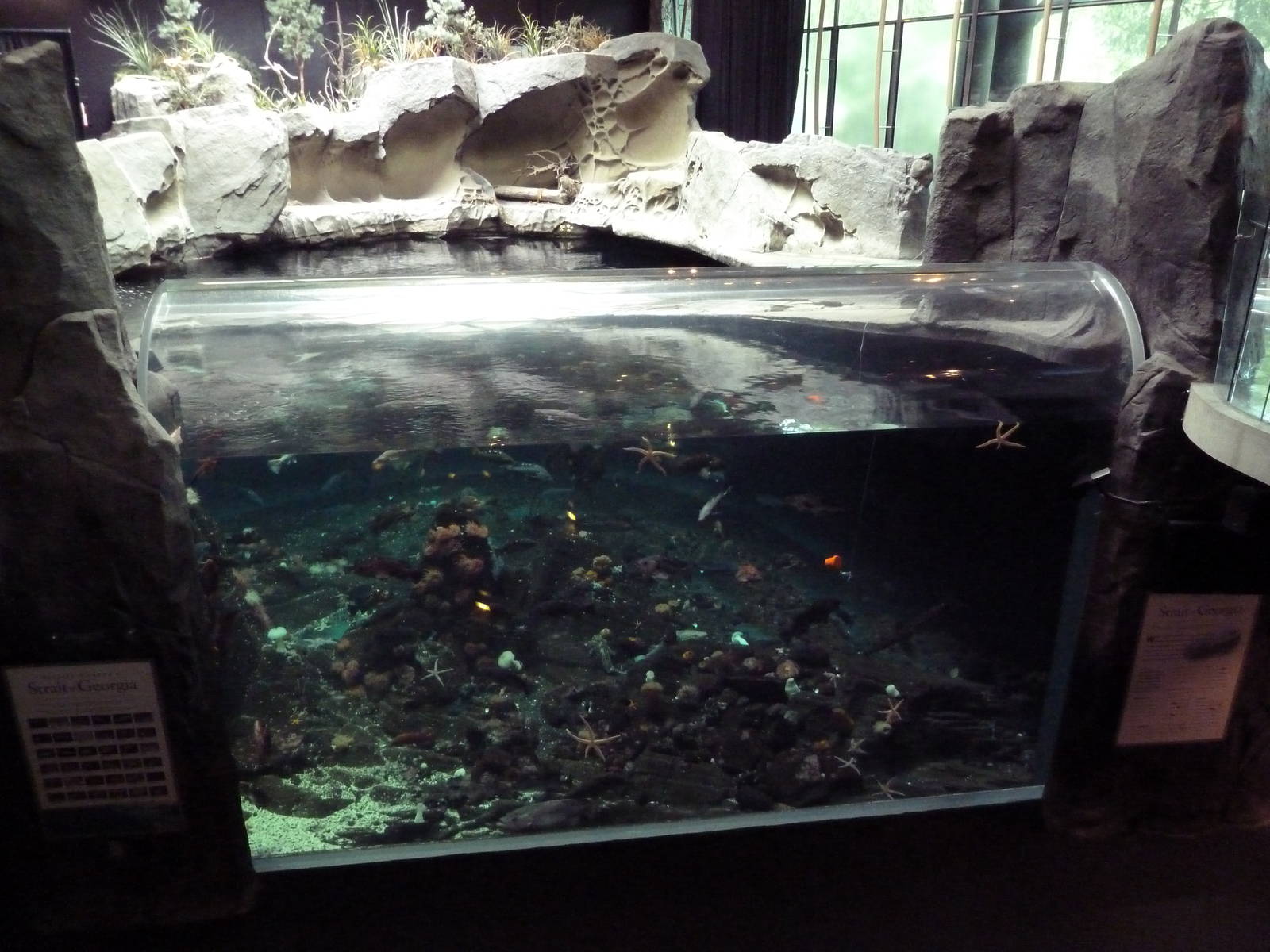 Strait of Georgia Exhibit (70,000 Gallons)