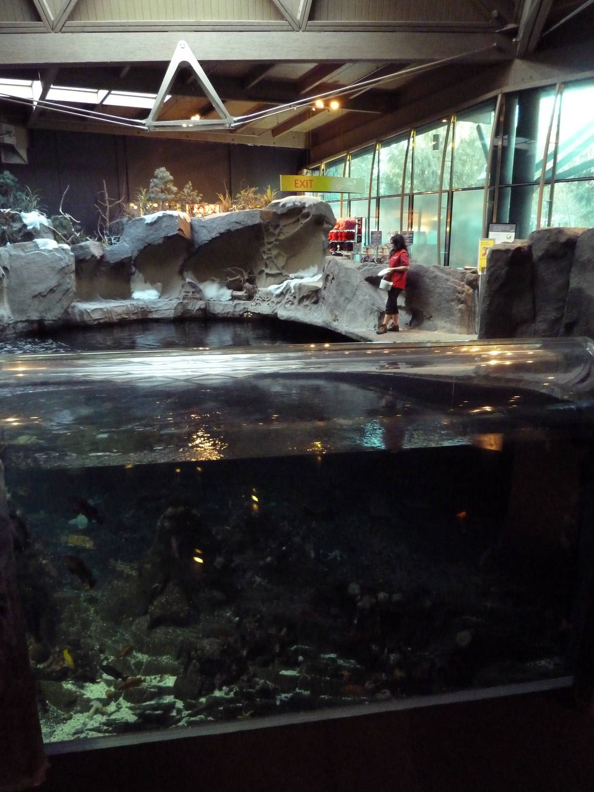 Strait Of Georgia Exhibit