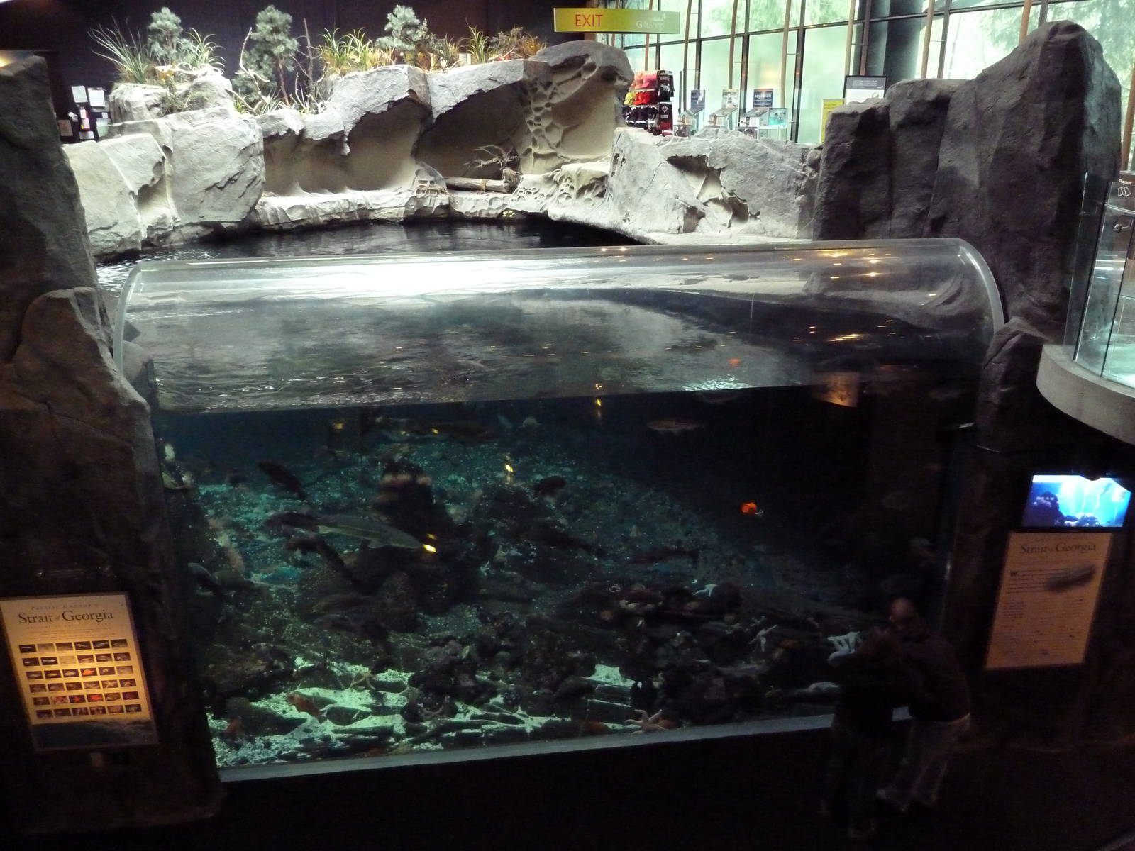 Strait Of Georgia Exhibit