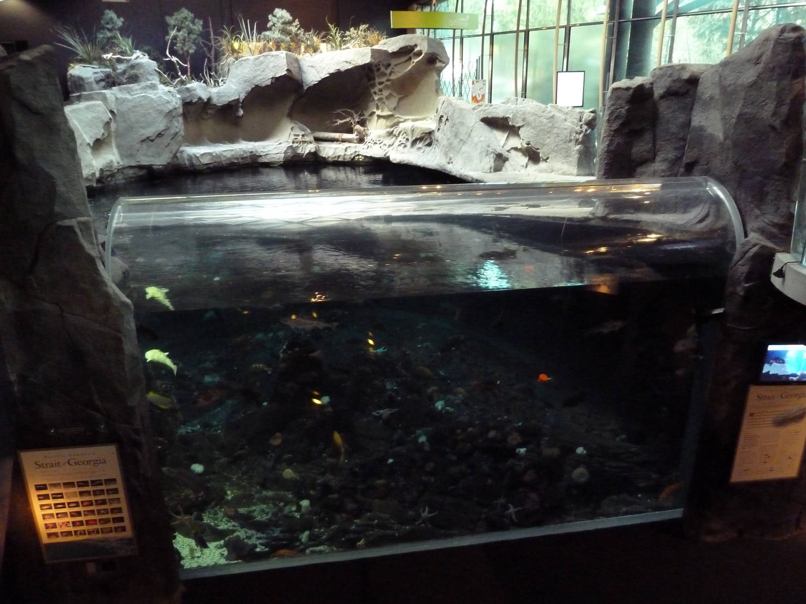 Strait Of Georgia Exhibit