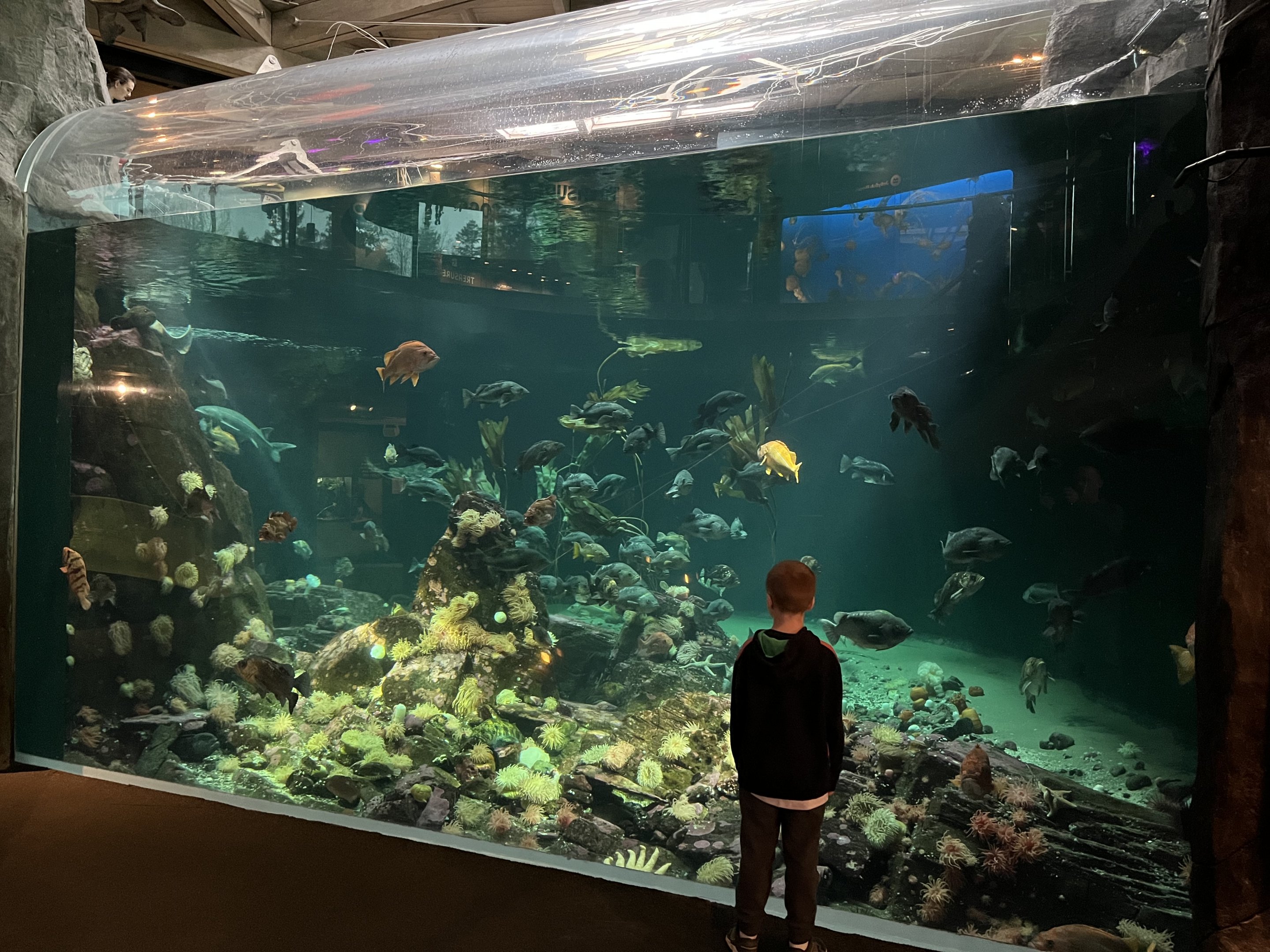 Strait of Georgia Exhibit