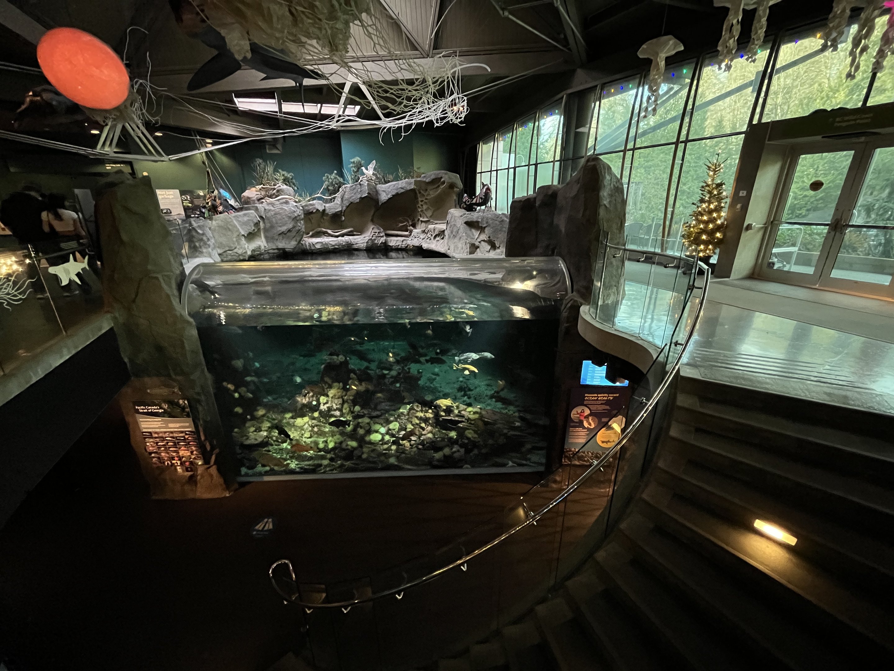 Strait of Georgia Tank (lower view)