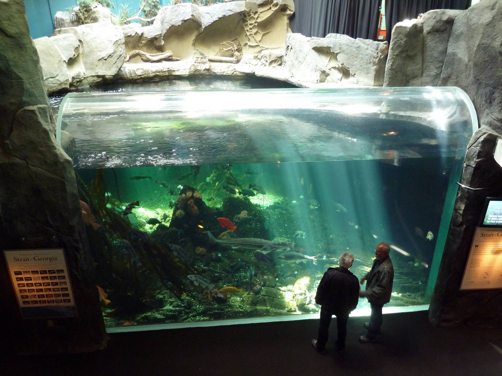 Strait of Georgia Tank