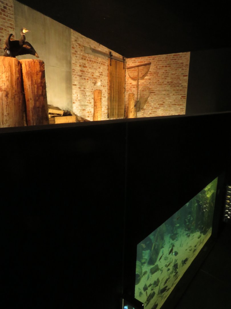 Stralsund harbour tank