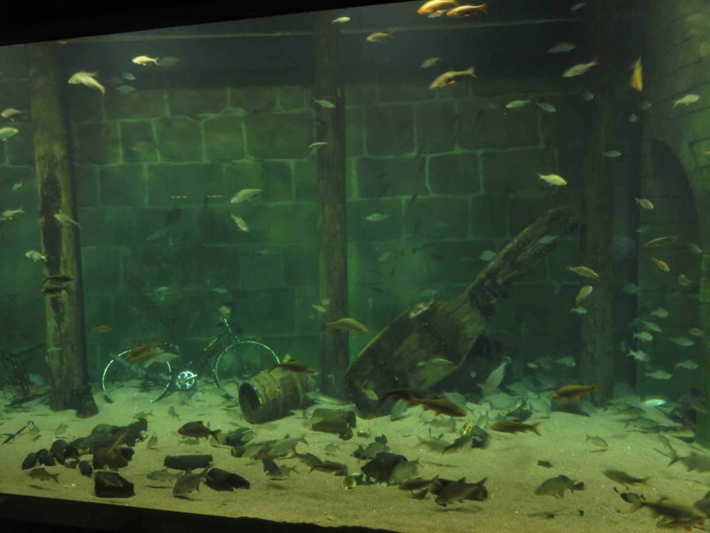 Stralsund harbour tank