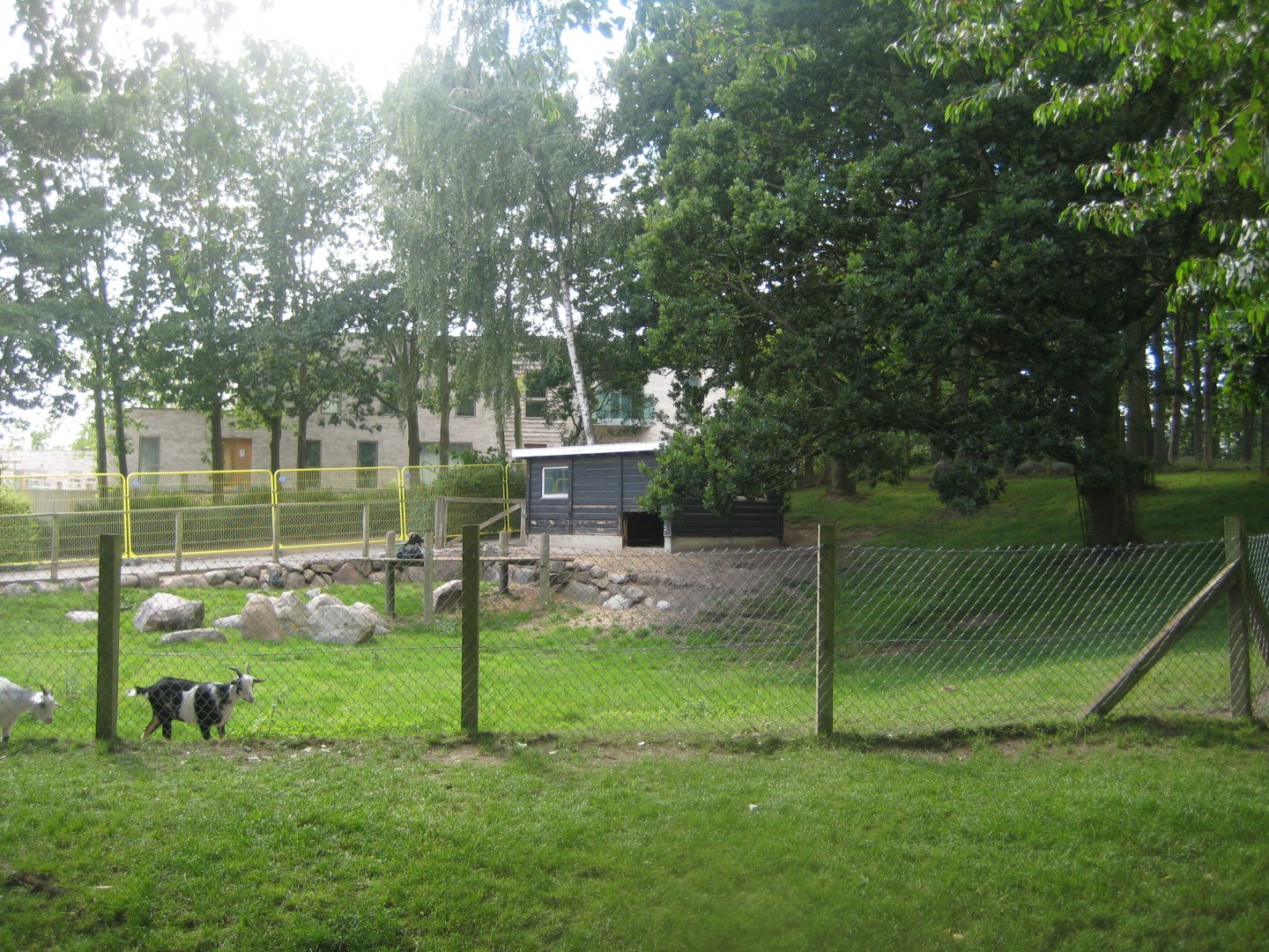 Strandvænget Park - Goat exhibit