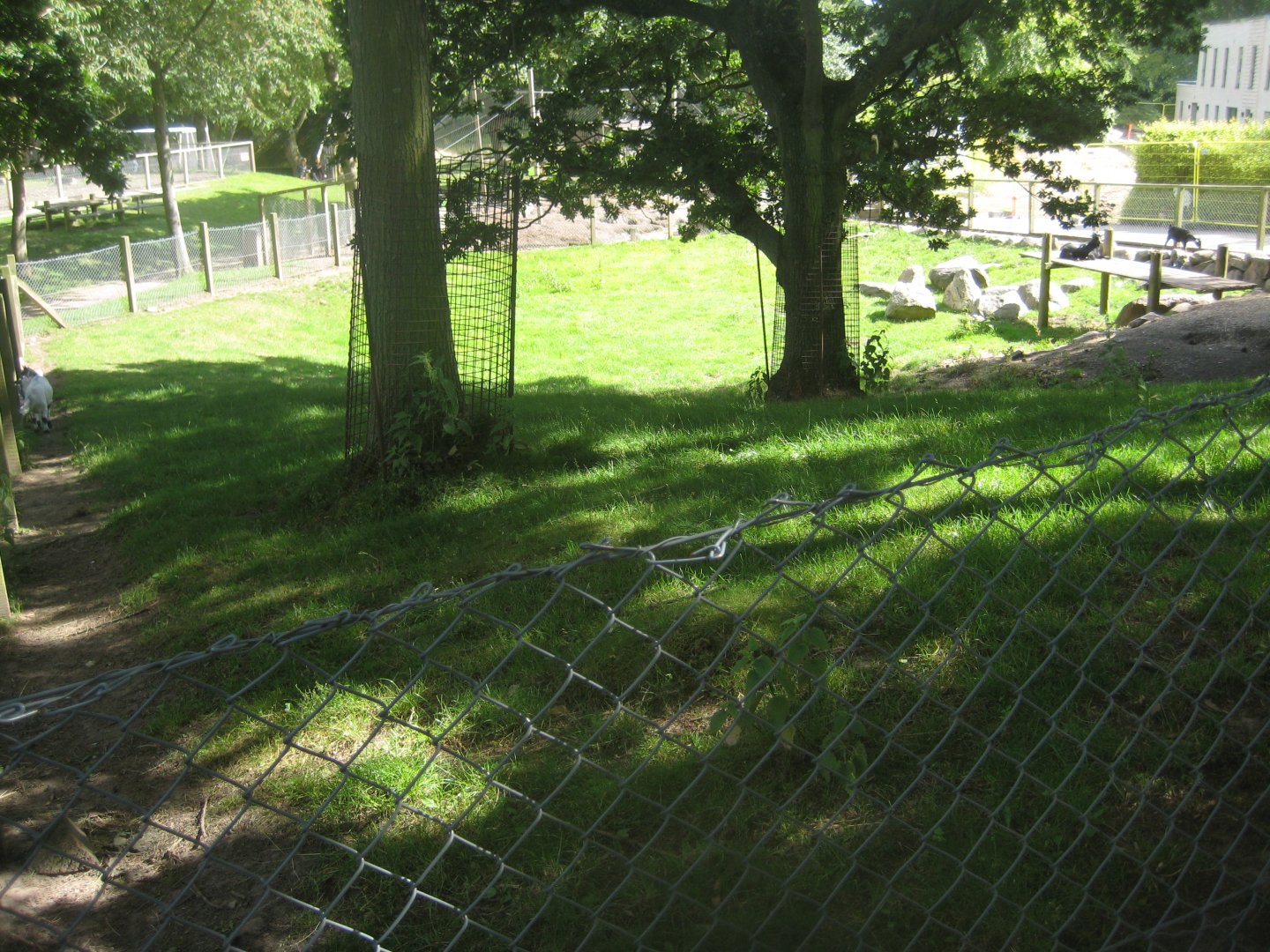 Strandvænget Park - Goat exhibit