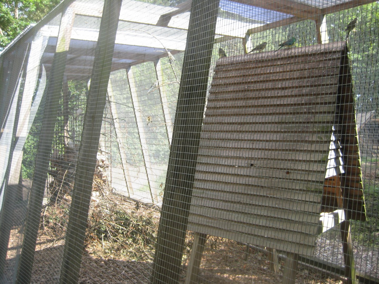 Strandvænget Park - Mixed aviary #1