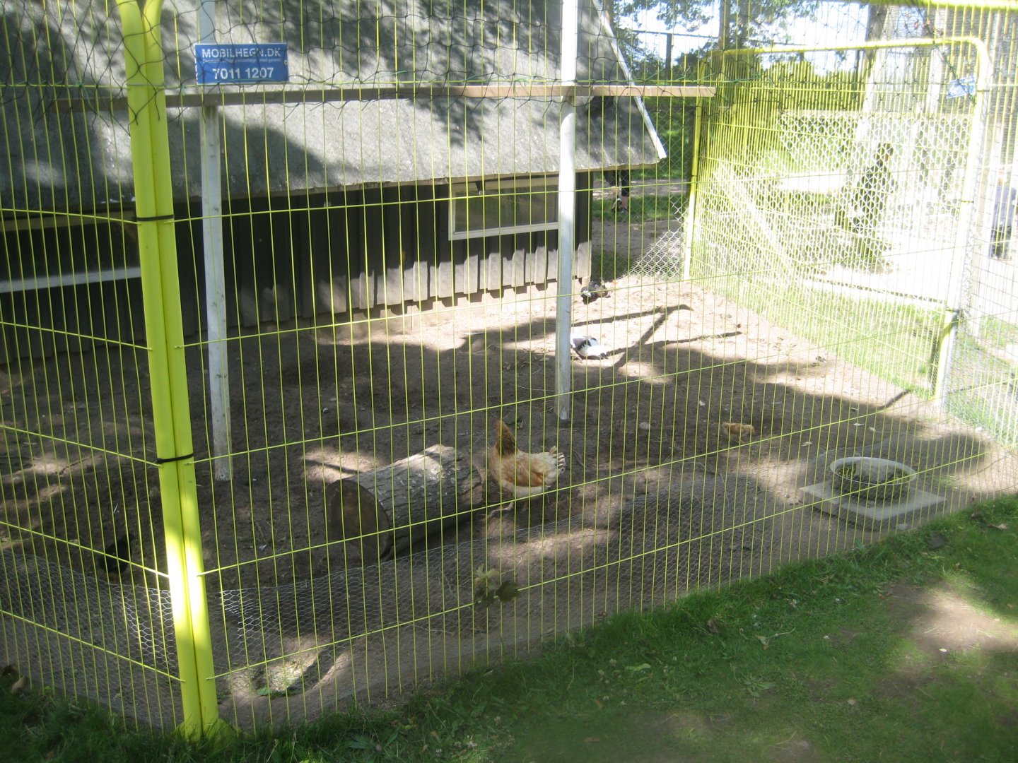 Strandvænget Park - Mixed aviary #3