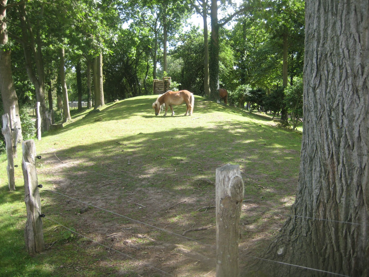Strandvænget Park - Pony exhibit #1
