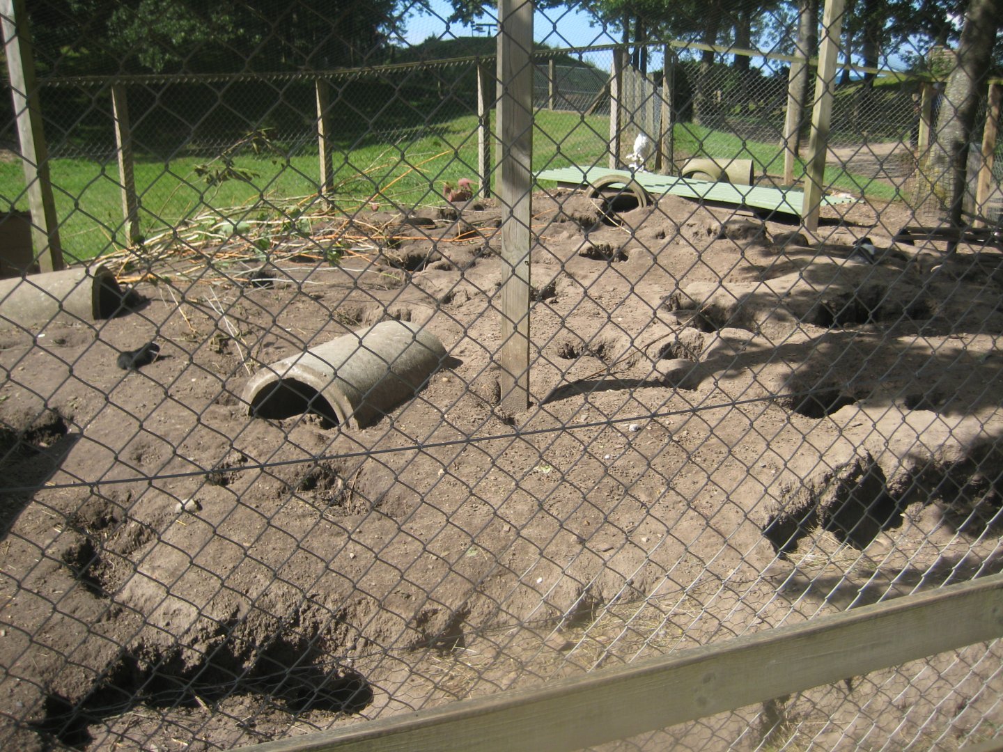 Strandvænget Park - Rabbit exhibit