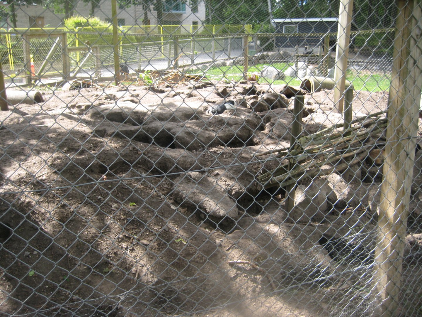 Strandvænget Park - Rabbit exhibit