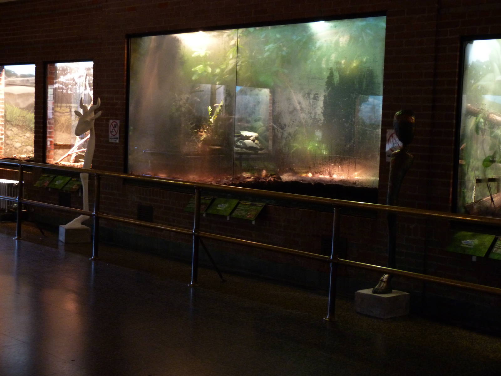 Strange Animal Sculptures in Reptile House