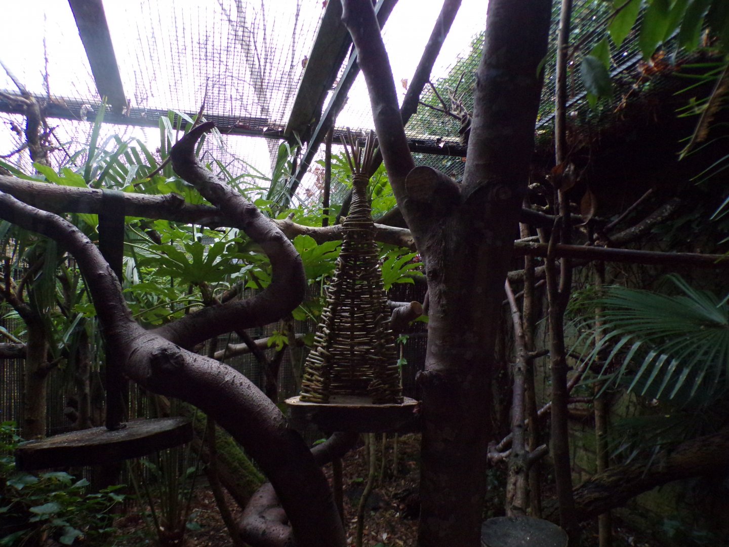 Strange climbing frame in magic Forest 27.12.24