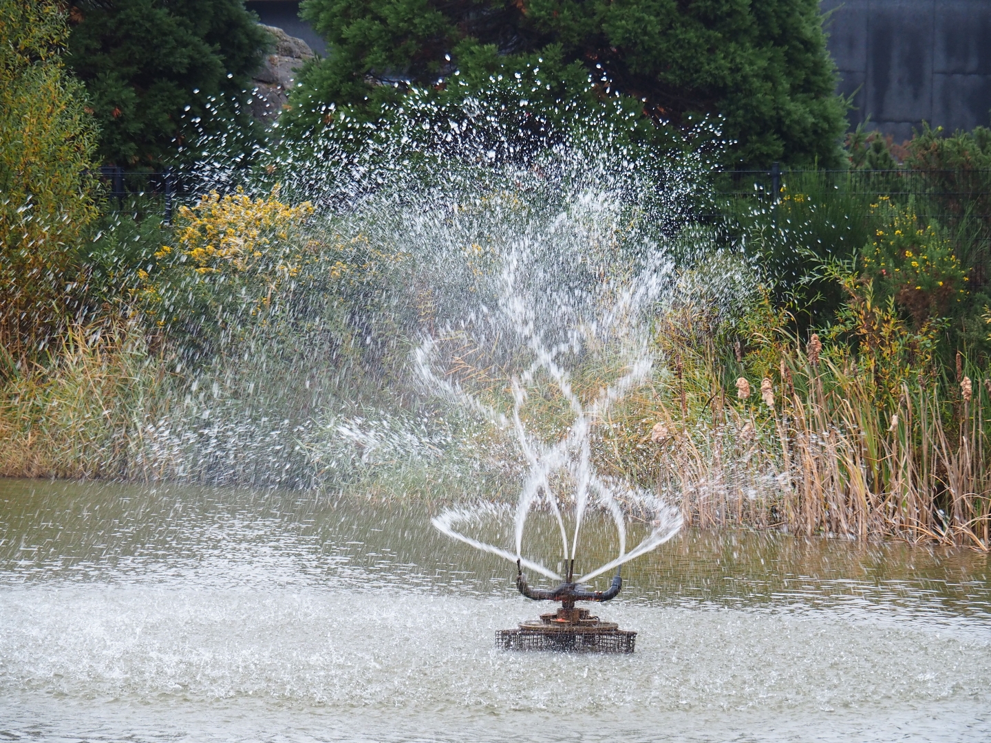 Strange fountain (Nov 10th, 2018)