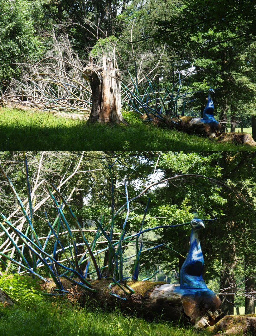 Strange peacock wood artwork, 2020-07-12