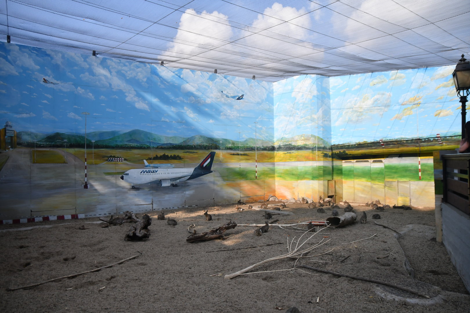 Strange rabbit enclosure