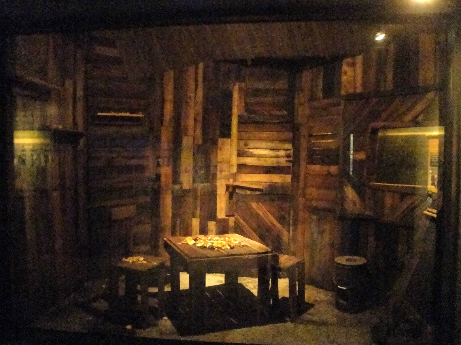 Straw-colored Fruit Bat Exhibit