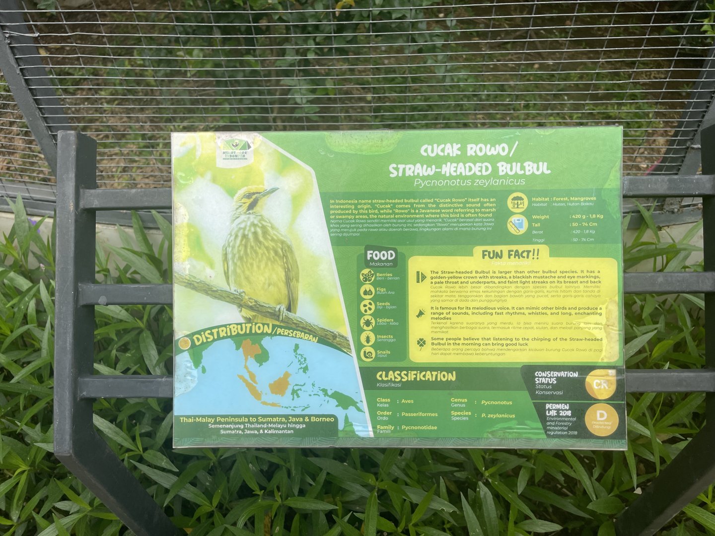 straw-headed bulbul signage - aviary park