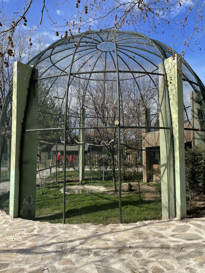 Straw necked ibis aviary