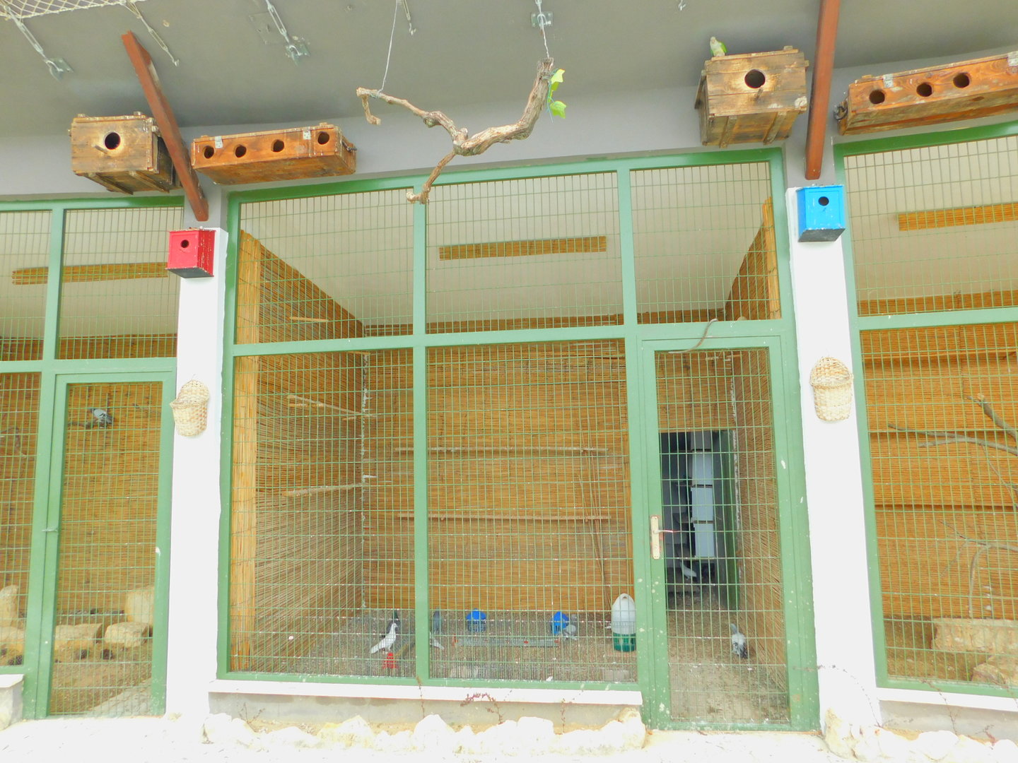 Straw-Wall Enclosures at  Istanbul Bird Paradise