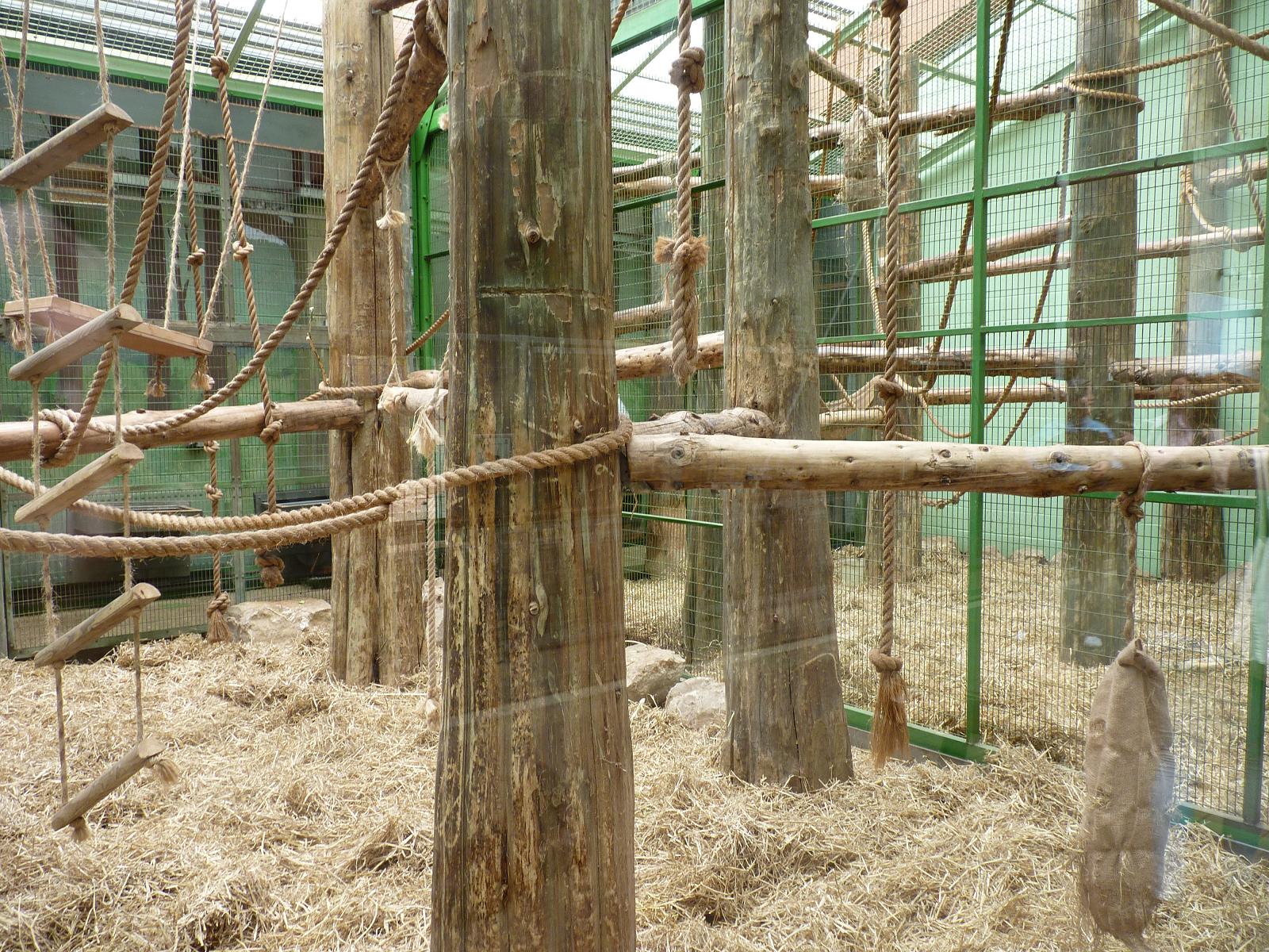 Strawed-Up Monkey and Porcupine Enclosure
