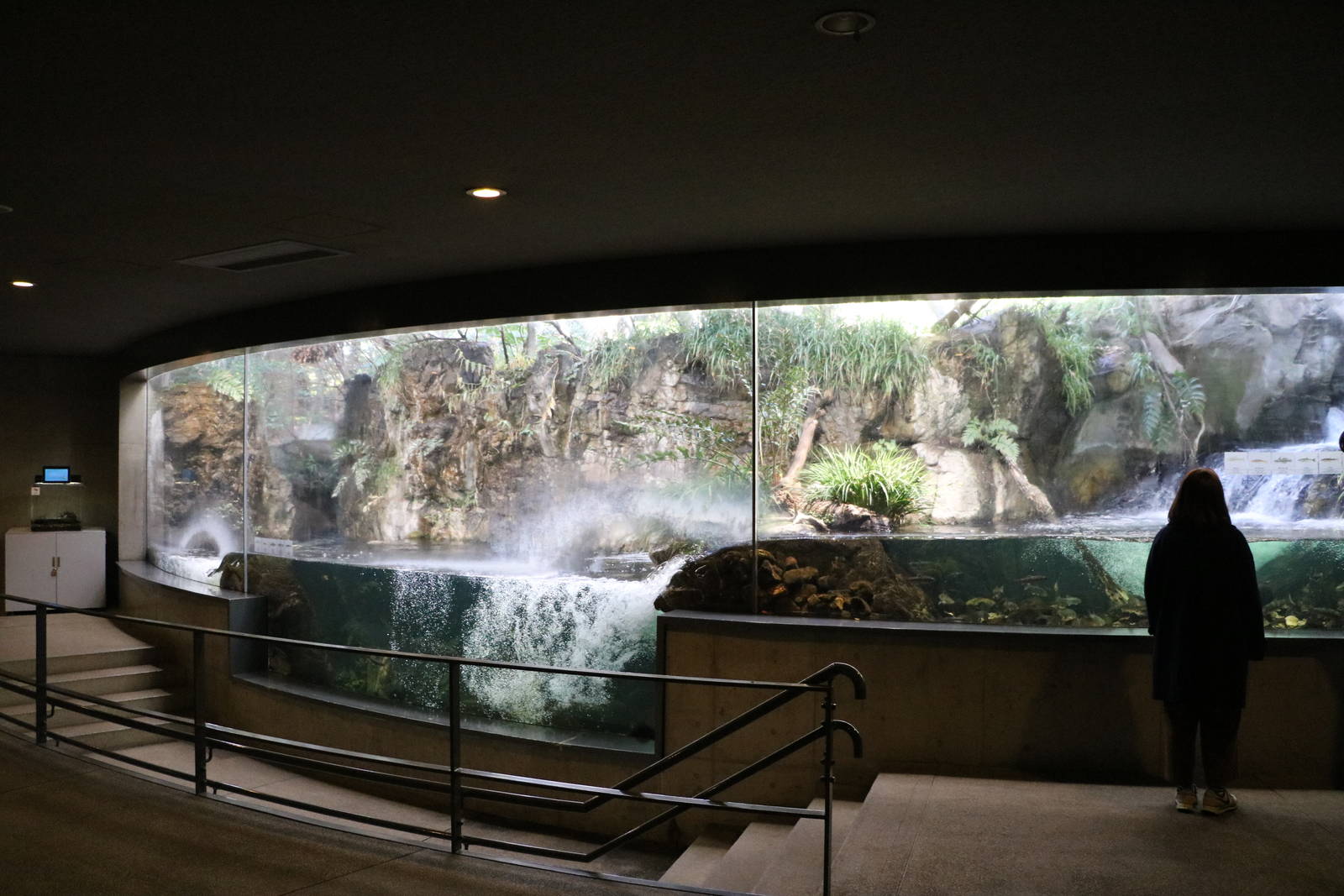 Stream exhibit - Tokyo Sea Life Park, February 2016