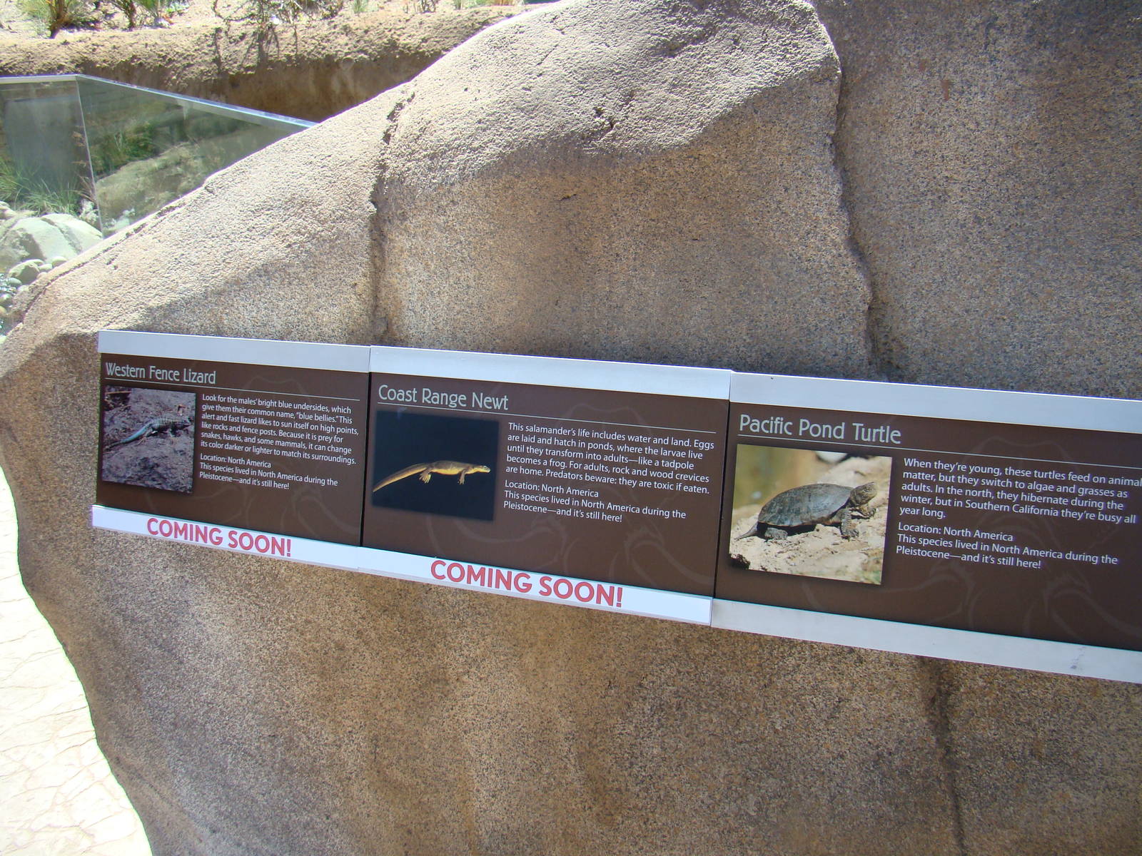 Streamside exhibit species