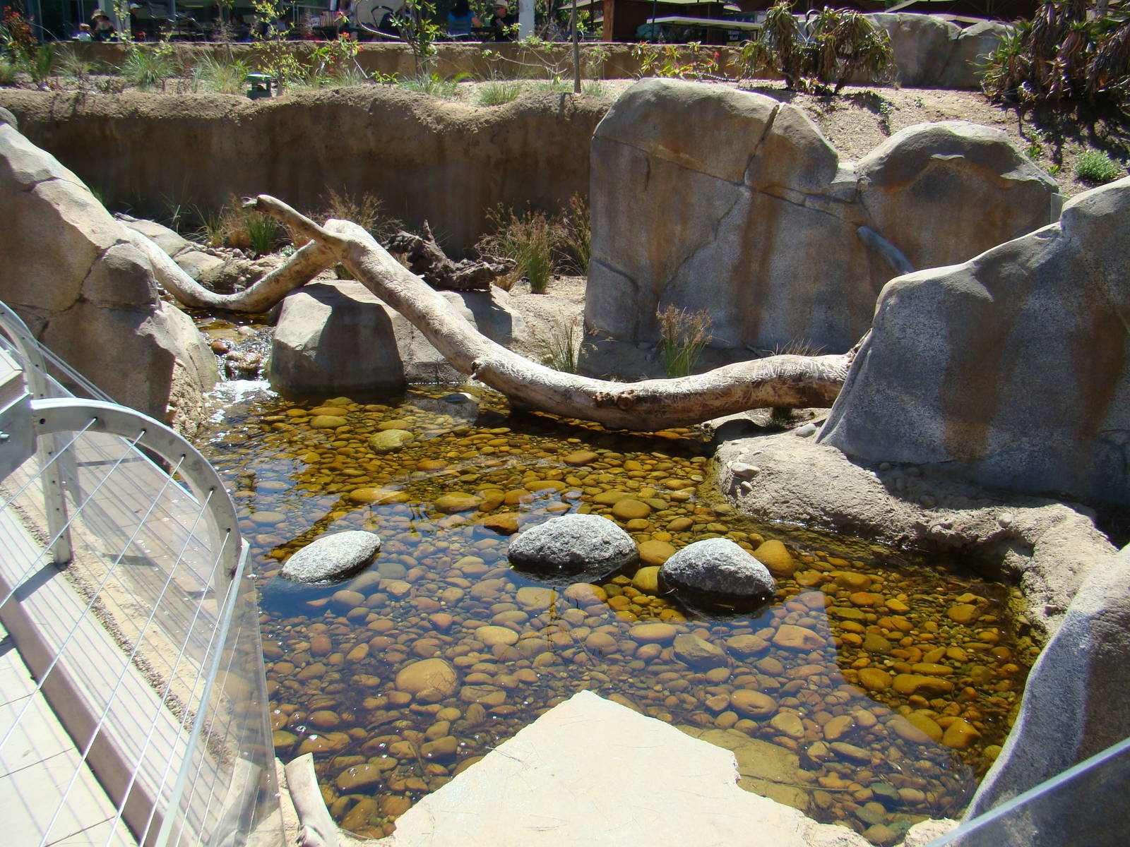 Streamside exhibit