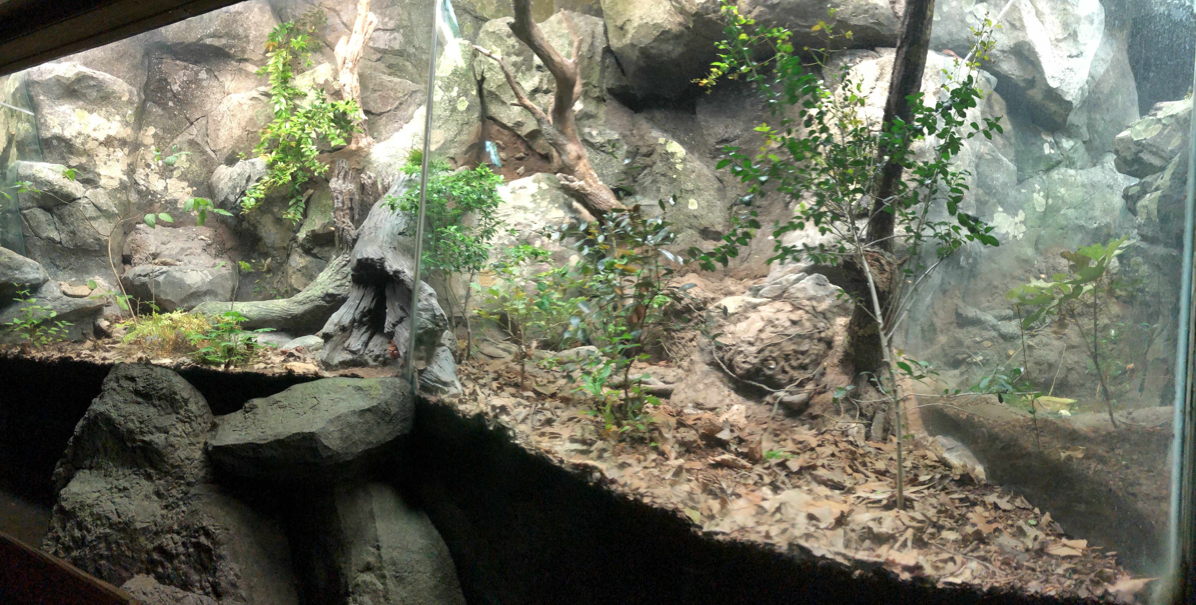 Streamside, Native snake exhibit