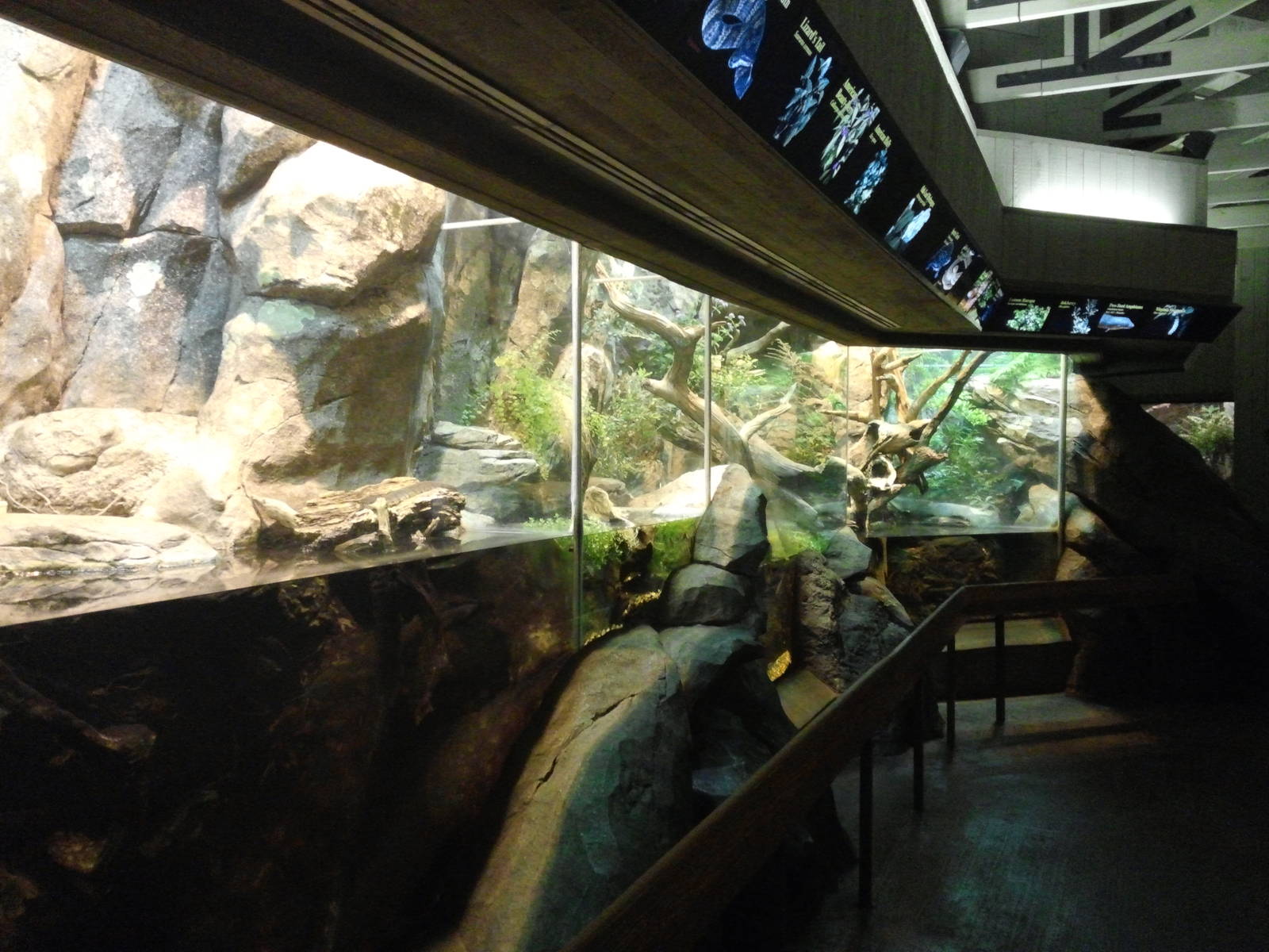 Streamside - Terraniums