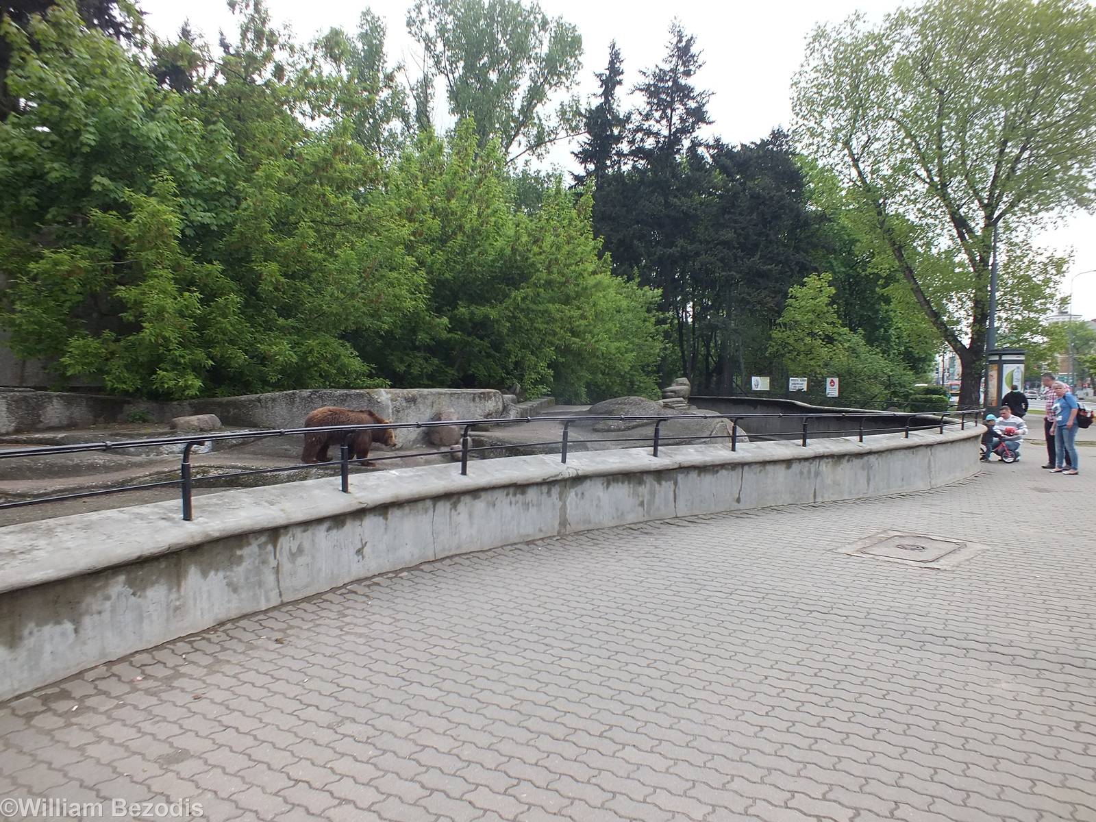 Street side Bear Enclosure