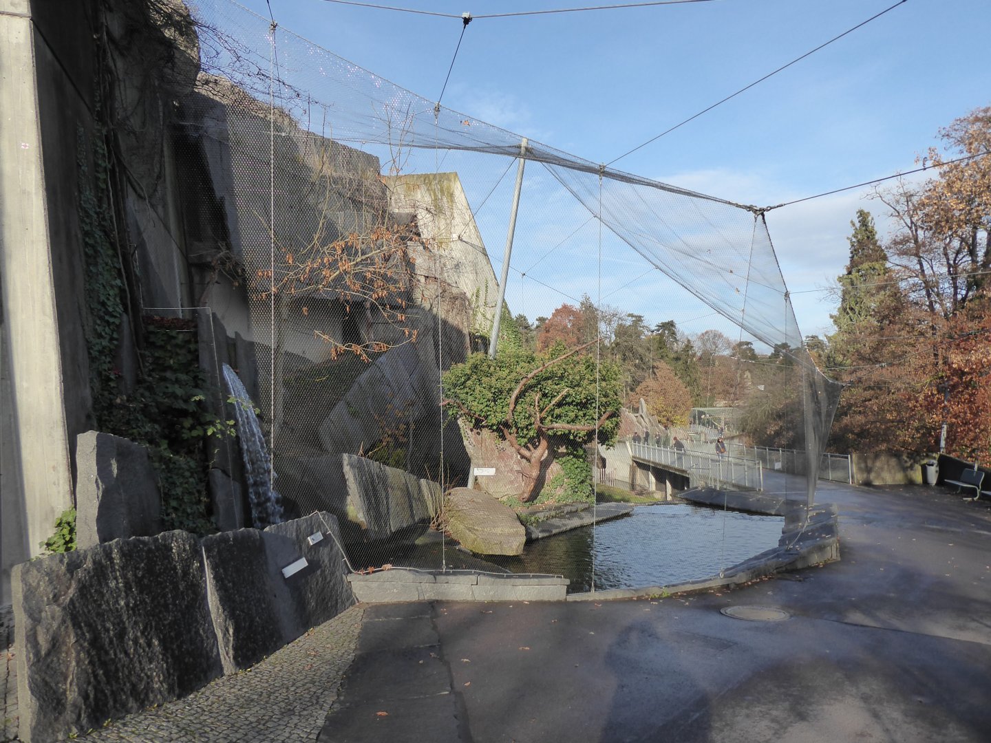 Striated caracara aviary 011218
